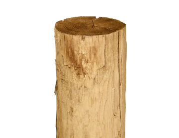 Kastanje paal - Ø 12-14 cm gepunt - 160 cm