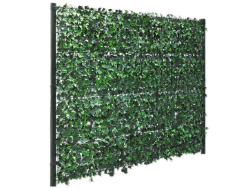 Pakket - Hedera