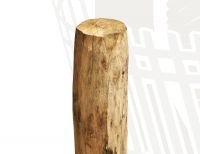 Kastanje paal - Ø 8-10 cm gepunt - diverse lengtes